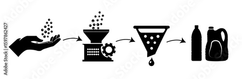 Mustard oil extraction process from seeds to final product.