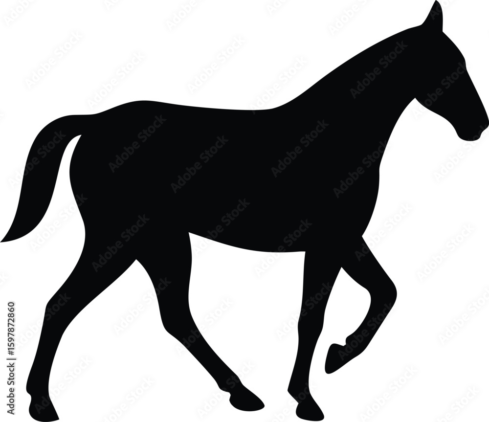 Obraz premium horse silhouette vector
