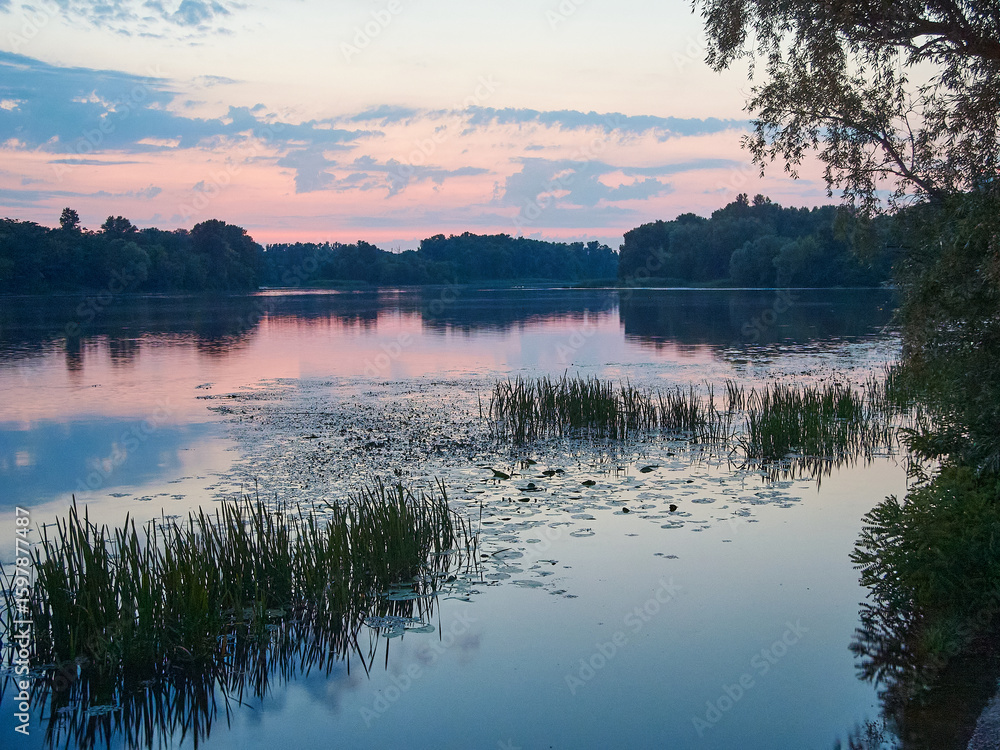 Fototapeta premium beautiful pond in summer time