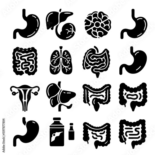 Collection of black and white anatomical illustrations depicting human internal organs in a grid format