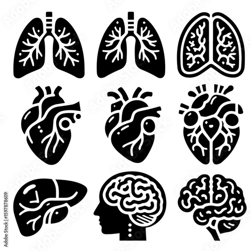Collection of anatomical organ illustrations including lungs heart liver and brain icons in black color 100 characters