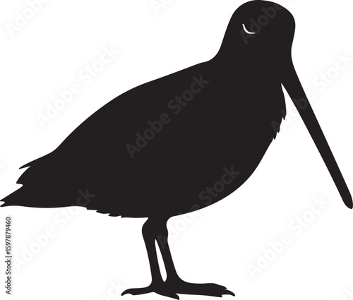 Schilderij op canvas Generate full black vector image of Great Snipe in silhouette full white baackground