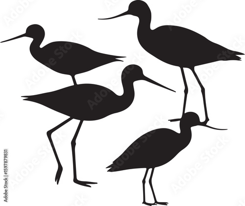 Goliath Heron in silhouette full white baackground.