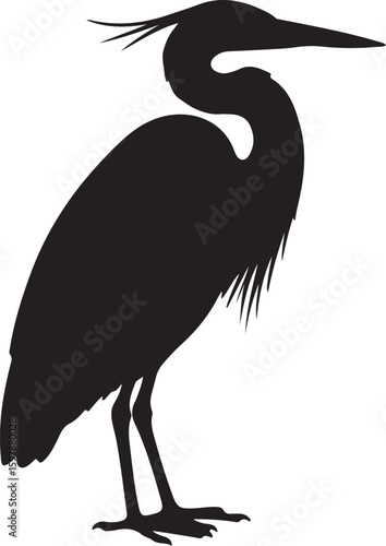 Goliath Heron in silhouette full white baackground.