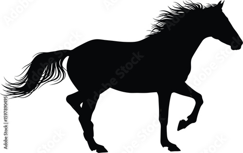 Horse silhouette prancing with flowing mane and tail, equestrian theme