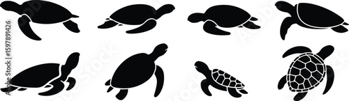 Turtle silhouette vector set showing seven unique poses including walking, resting and top-down hexagonal shell view—perfect for animal graphics, nature themes and wildlife concepts vector template fl