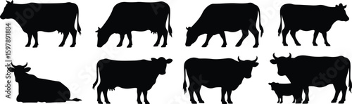 Cow silhouette vector set showing eight different poses including standing, grazing, resting and mother-calf combination—ideal for farm animals, nature and countryside themes vector template flat grap