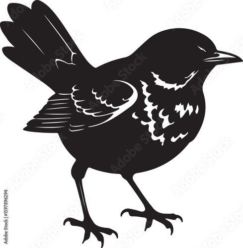 Spotted Morning Thrush in silhouette full white baackground.