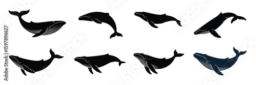 Dolphin fish flying jump jumping fly shark best whale marine ocean sea creature animal banner icon infographic illustration modern template minimal graphic design pattern