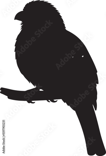 vector image of Narina Trogon in silhouette full white baackground