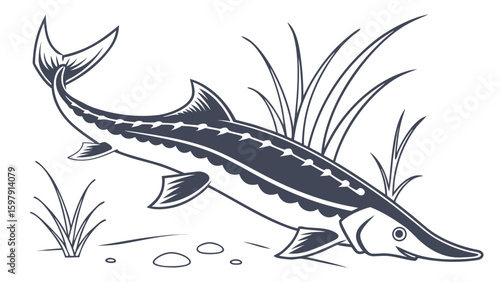 Sturgeon fresh water fish  line art vector silhouette illustration
