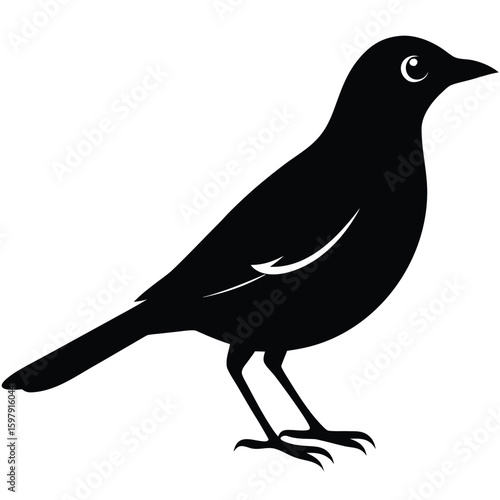 Mynah Bird Black Silhouette Clean Vector