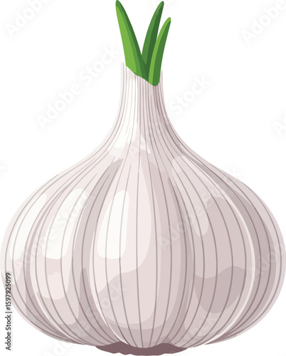 Single bulb of garlic with green sprouts on top, close-up studio shot