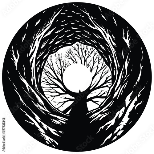 The View from Inside a Hollow Tree Trunk Looking Up