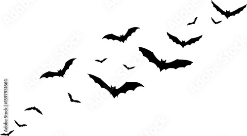black silhouettes of bats flying against a white background