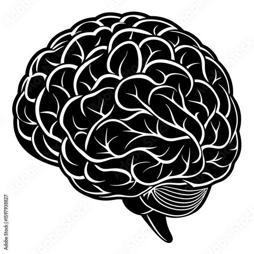 vector illustration of human brain