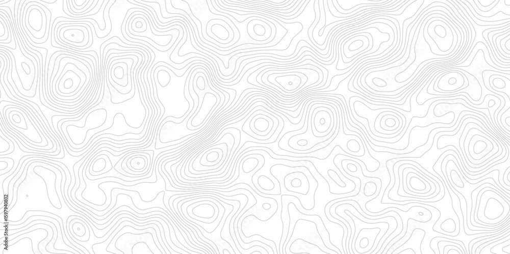Fototapeta premium white background with abstract topographic grey contour lines creating a seamless pattern design A Perfect Fusion of Geometric Grid Lines, and Minimalist Design Elements