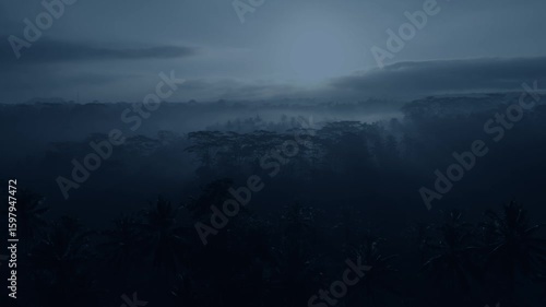 Top view of jungles in South Asia at night. Camera is moving forward