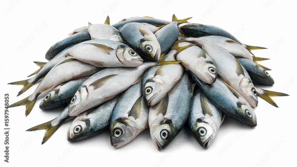 Obraz premium Fresh Fish Piled on White Background