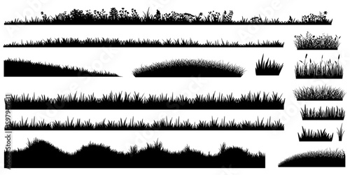 Silhouettes of field and garden grass with flowers and leaves, horizontal borders and grass elements. Vector illustration.	
