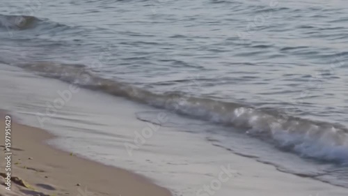 Wallpaper Mural Gentle waves touching sand on a shoreline under overcast sky. Relaxing nature background, suitable for wellness or travel designs Torontodigital.ca