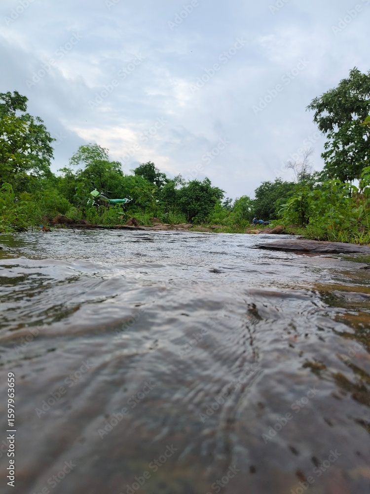 Fototapeta premium river in the forest