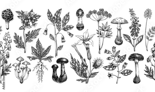 Poisonous plants seamless ribbon. Toxic mushrooms hand drawn vector illustration. Witch herbs vintage pattern. Deadly fungi background. NOT AI generated