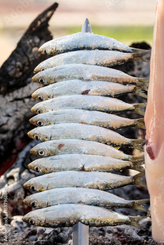 Grilling espeto de sardinas (ENG sardine fish skewer) over an open fire in Malaga, Spain. 
