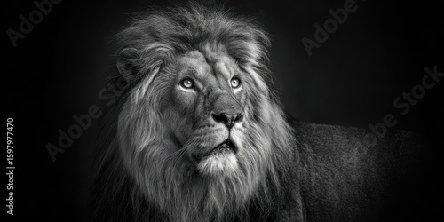 The majestic lion captured in stunning black and white portrait.