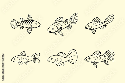 Albino Bristlenose Pleco, aquarium fish line art illustration