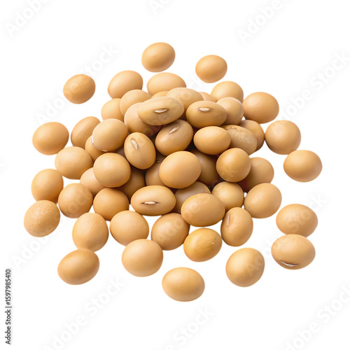 Soybeans A CloseUp View