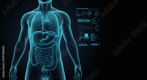 Digital Human Anatomy with Internal Organs – Medical Layered Scan 2