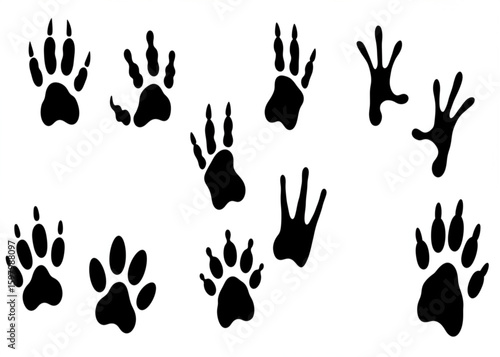 Animals footprints. Animal feet silhouette, frog footprint and pets foots silhouettes prints vector illustration set
