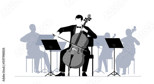Sophisticated Cello Performance At Symphony Orchestra With Other Musicians