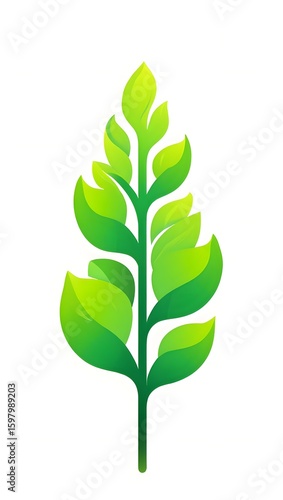 Illustration of green leafy plant stem for nature and botanical design elements use