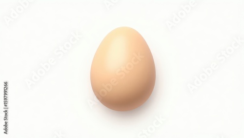 Single, light brown egg on a white background.