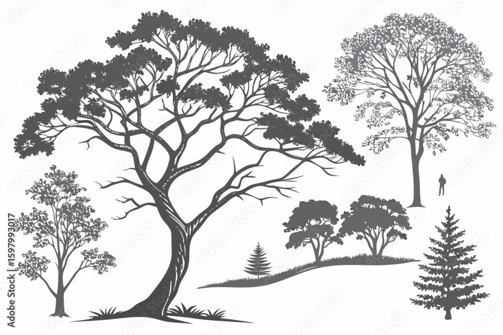 Obraz premium Top View Trees and Bushes – Landscape Architecture Elements Set