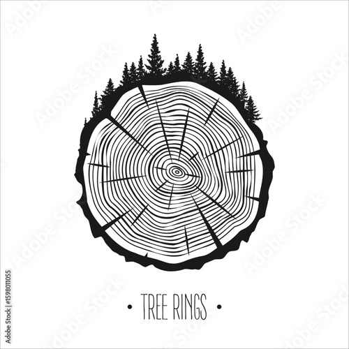 Round tree trunk cut with trees and forest. Sawn pine or oak slice, lumber. Saw cut timber, wood. Brown wooden texture with tree rings. Hand drawn sketch. Vector illustration