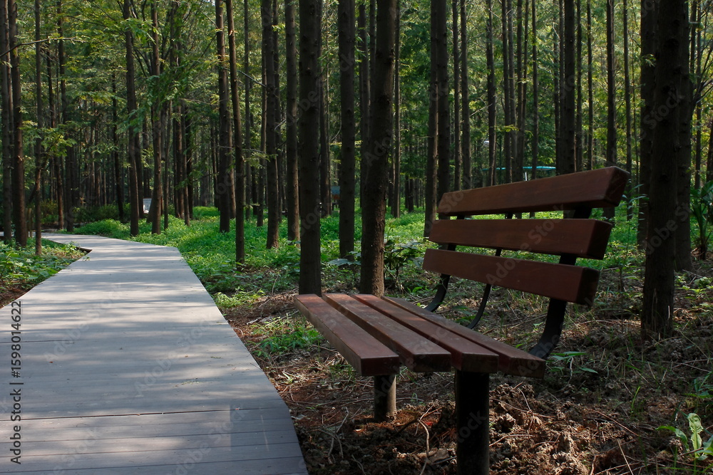 bench in the park bench in the park