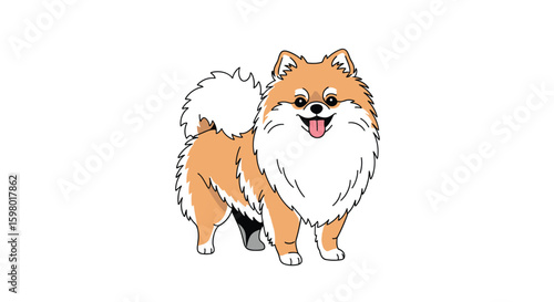 Charming pomeranian puppy with fluffy orange fur and a happy smile awaiting your affection