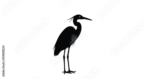 Elegant silhouette of a standing heron bird against a white background