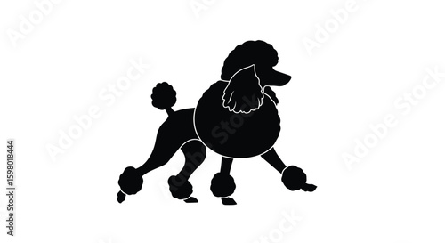Elegant black poodle silhouette with a sophisticated pom-pom hairstyle and tail accent