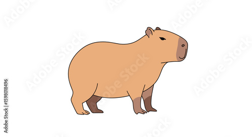 Adorable capybara standing and looking to the side with closed eyes