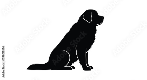 Loyal companion sitting proudly a silhouette of a large breed dog offering devotion