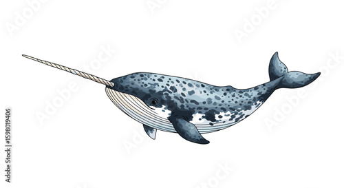 Oceanic unicorn of the arctic seas a majestic narwhal with a spiraling tusk
