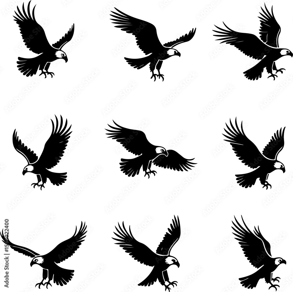 Obraz premium Wildlife Silhouettes: Cats & Eagles