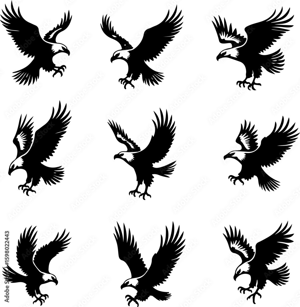 Obraz premium Wildlife Silhouettes: Cats & Eagles