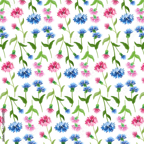 Blue and pink cornflowers.Vector seamless pattern with pink and blue cornflowers on a white background.