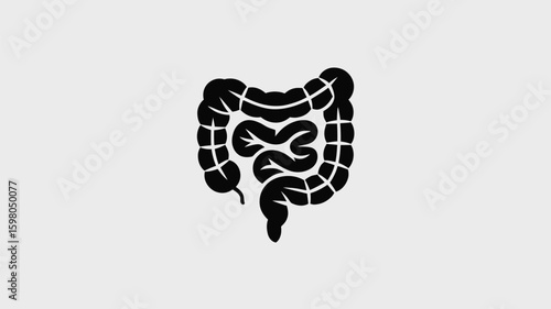 Simplified illustration of the human colon, depicting the digestive system, ideal for medical or educational purposes, showcasing a clear and concise anatomical representation