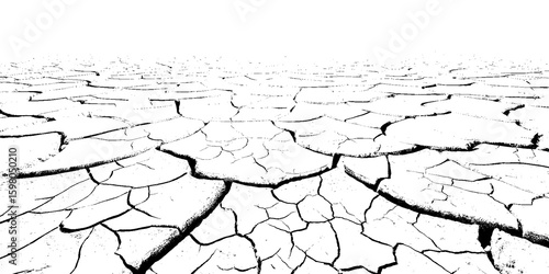 "A stark, black and white, high-contrast image showing a wide expanse of deeply cracked earth, stretching towards a distant horizon, emphasizing the textures and patterns of drought and desiccation."